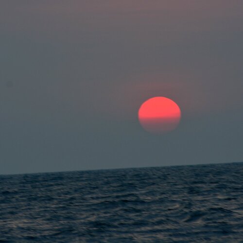 Untitled One