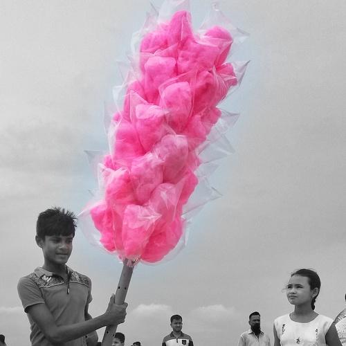 Photo #3318316