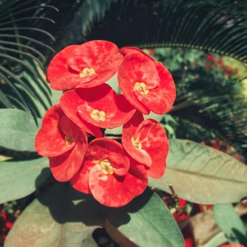 Photo #3318324