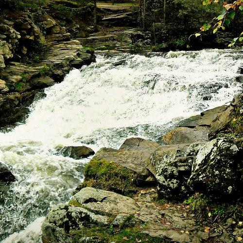 Photo #3318924