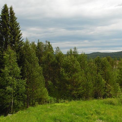 Photo #3318940