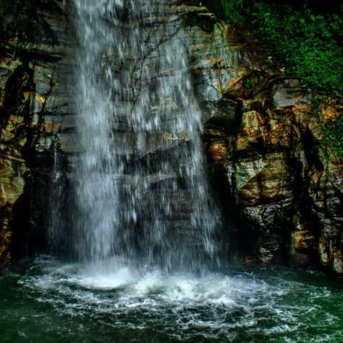 Photo #3319050