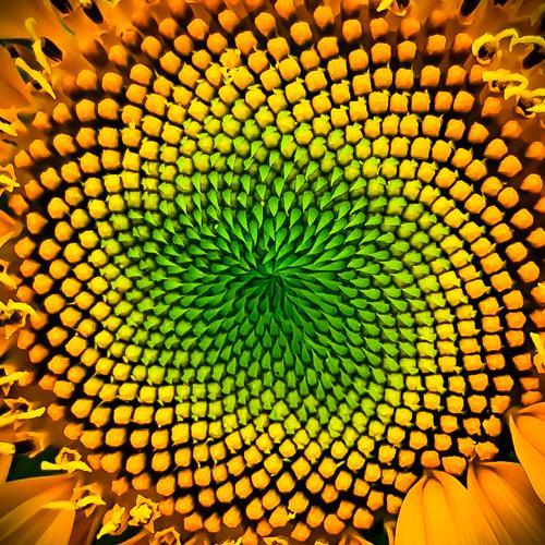 Hypnotic
