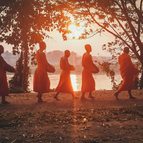 Walking for Alms