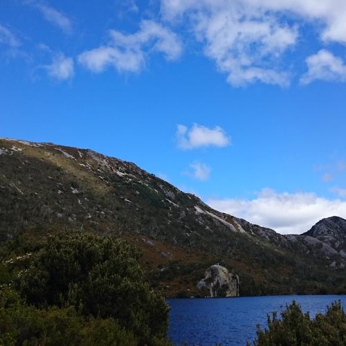 Hill near Cradle Mountain
