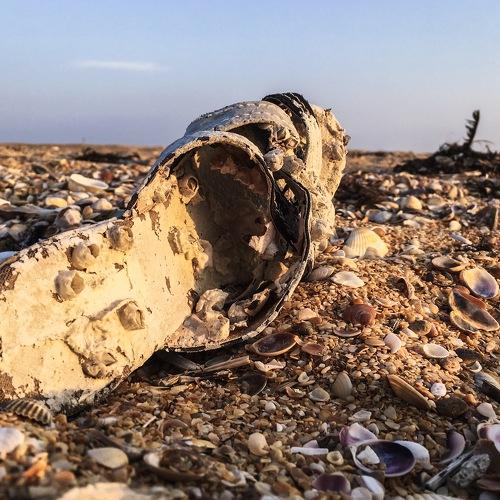 Жизнь после смерти