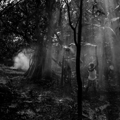 Plantation Worker in Goa