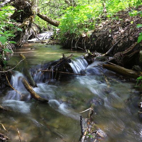 Лесной ручеёк