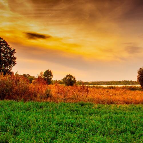 Photo #3323841