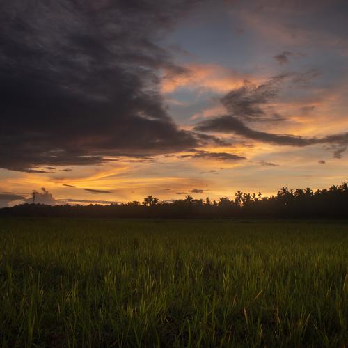 Painted sky