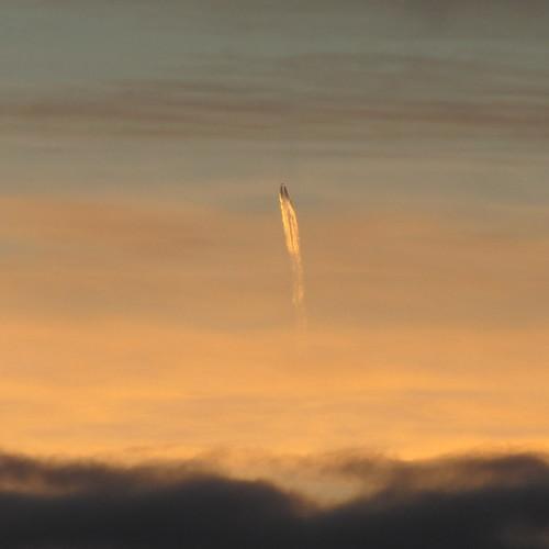 Photo #3325230