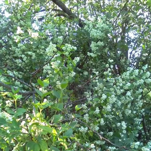 Photo #3325714