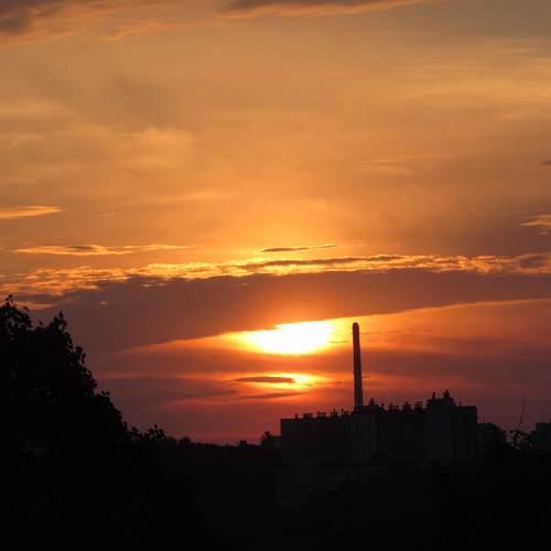 Photo #3325863