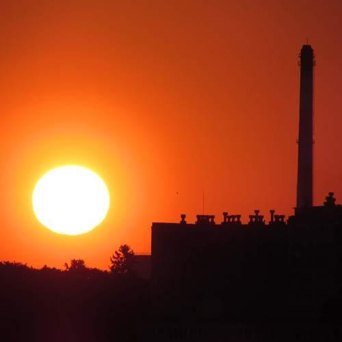 Photo #3325868