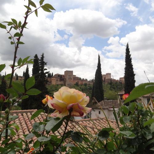 La Alhambra y la rosa