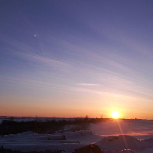 Photo #3325999