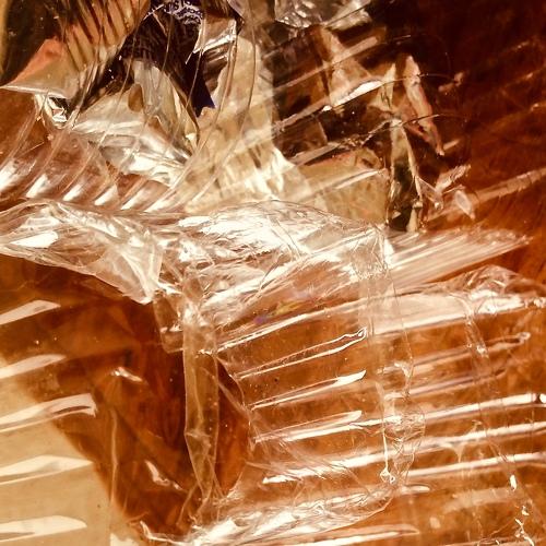 Photo #3326110