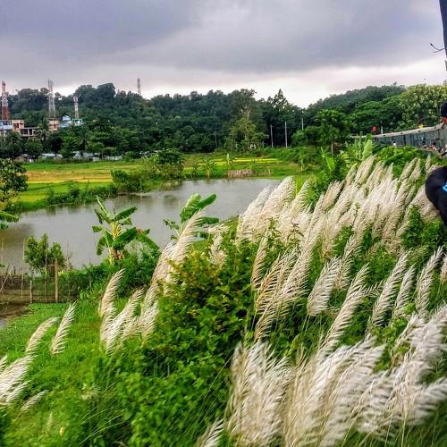 The beauty of Shatol(A train for Universityof Chittagon)