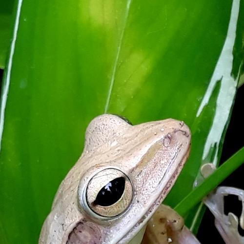 I've got my eye on you..