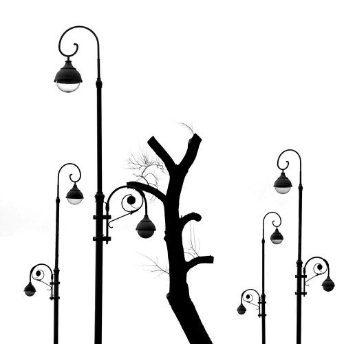Elements