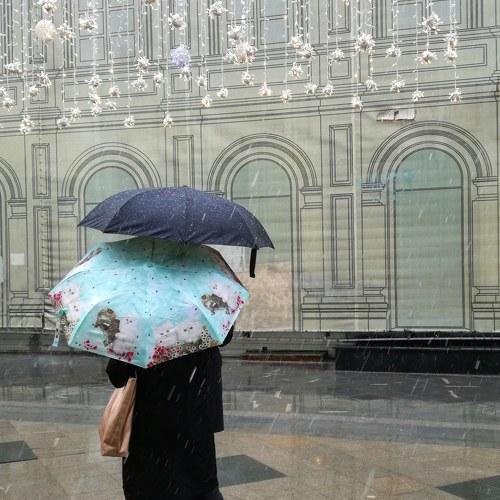 Umbrellas