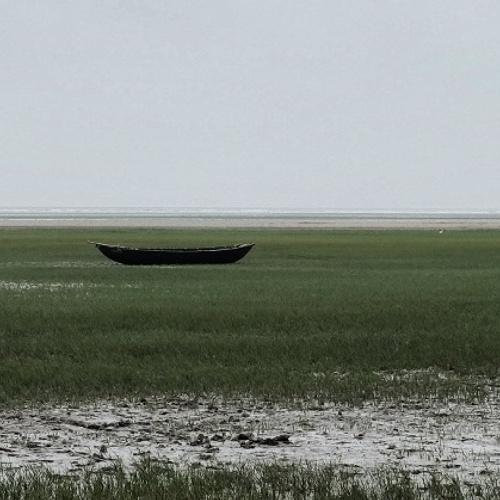 Alone