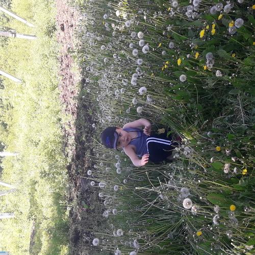 Photo #3329674