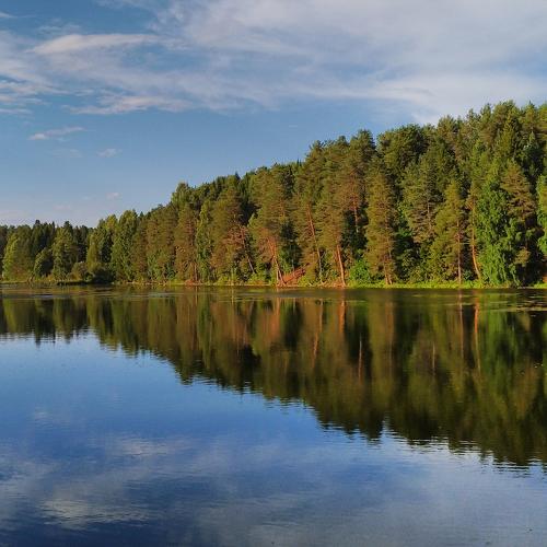 Музыка природы