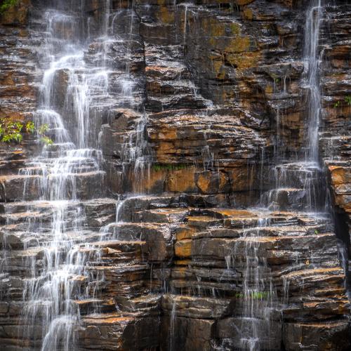 motion of nature