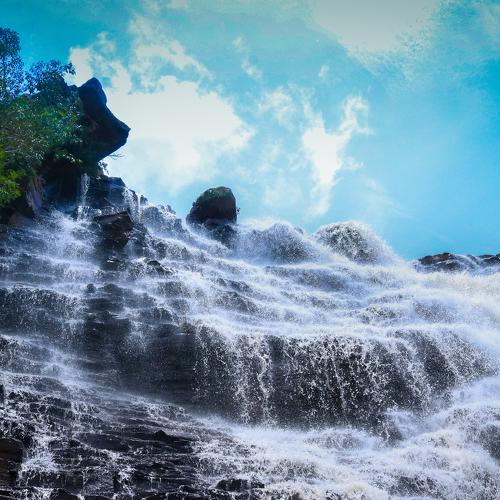 motion of nature