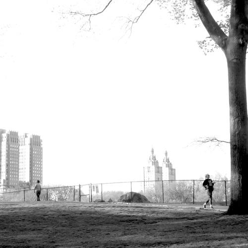 Central Park, 2019