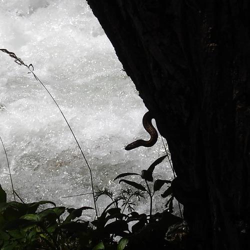 Photo #3331278