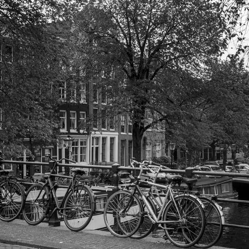 bicicletas