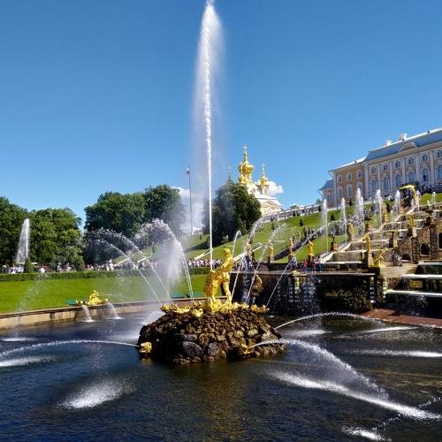 Photo #3333886