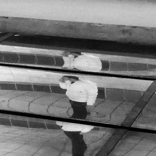 Distorted Reflection