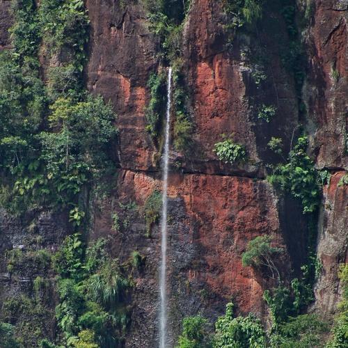 Harau