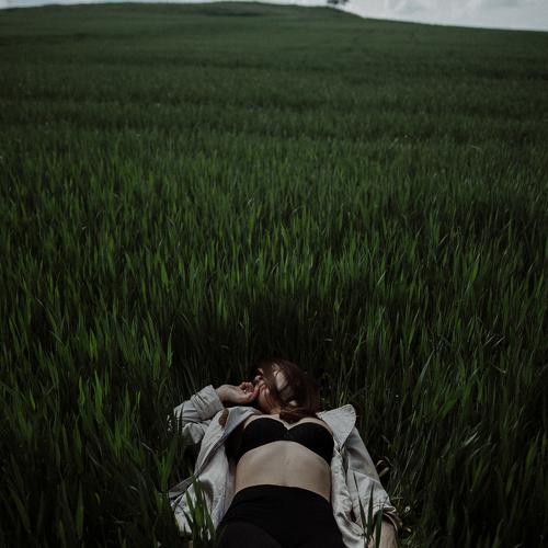 Photo #3334540