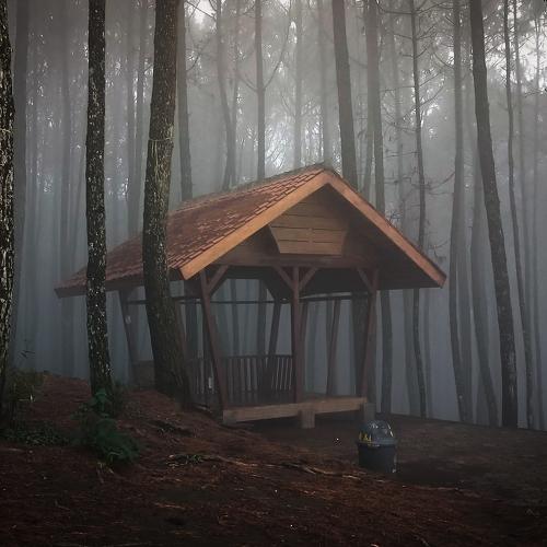Camp
