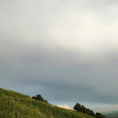 Photo #3336696
