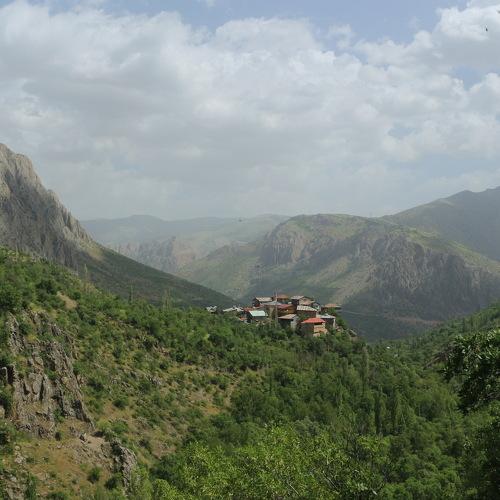 Photo #3336763