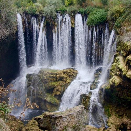Photo #3336789