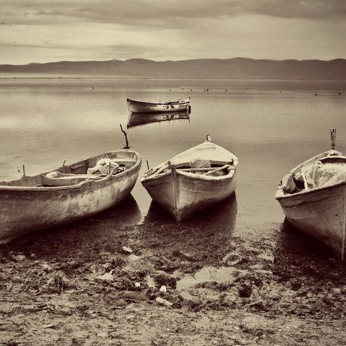 Photo #3337524