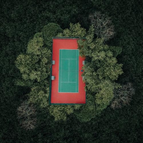 Tennis forest