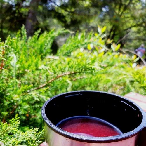 Photo #3338506