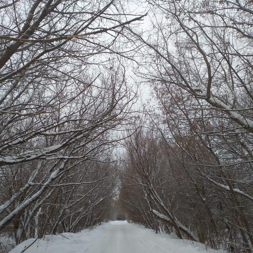 26.01.19 любимая арка