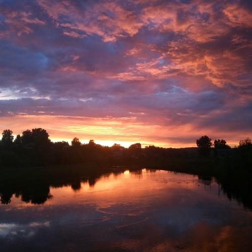 Photo #3340021