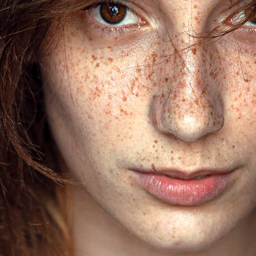 Photo #3340810