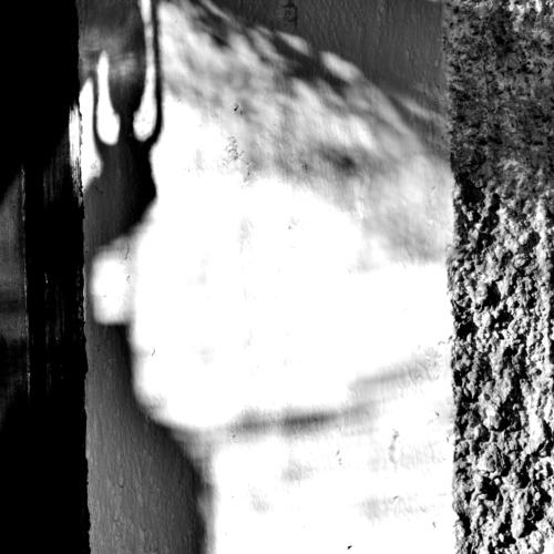 Photo #3341217