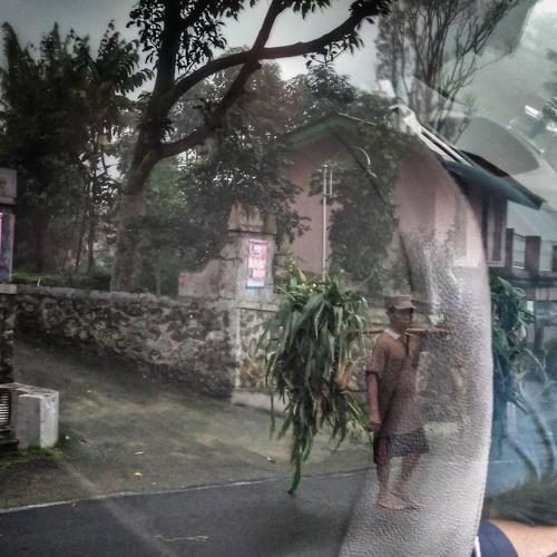 Photo #3341285