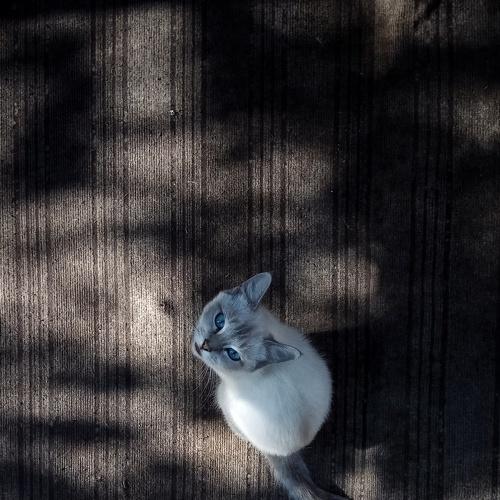 Photo #3341489